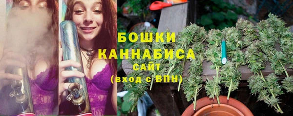 ПСИЛОЦИБИНОВЫЕ ГРИБЫ Армянск